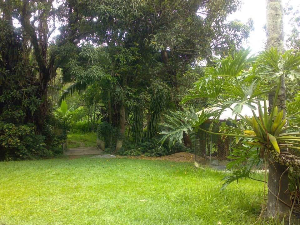 Sítio à venda com 4 quartos, 22930m² - Foto 18