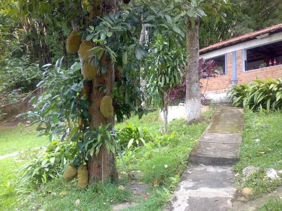 Sítio à venda com 4 quartos, 22930m² - Foto 19