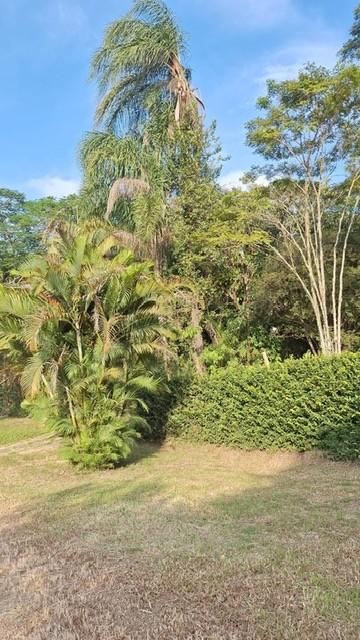 Casa à venda com 2 quartos, 1430m² - Foto 25